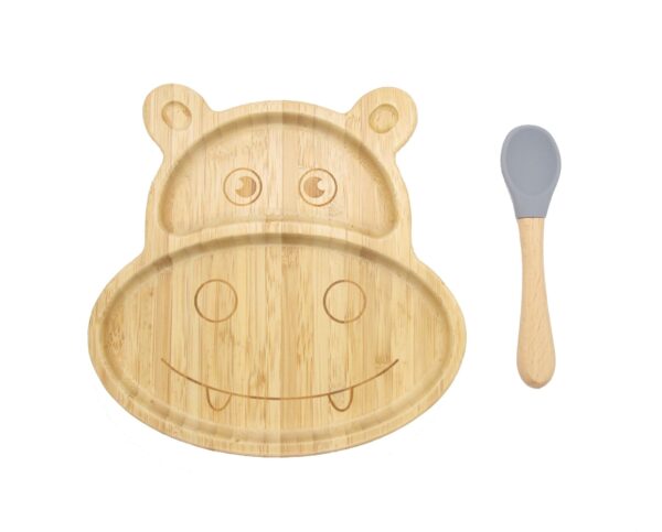 Bamboo Plate and spoon